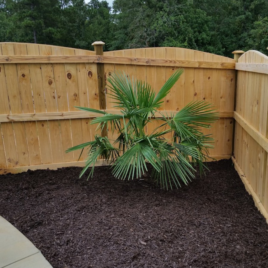 Mulch