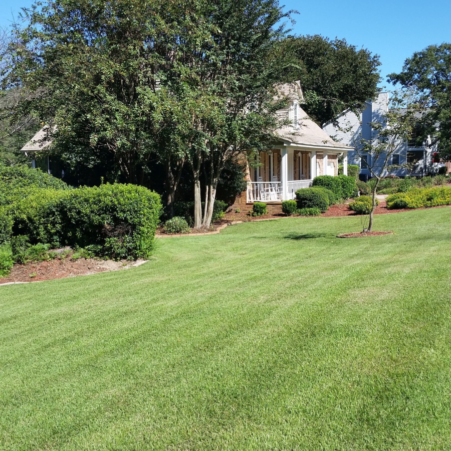 Lawn Care