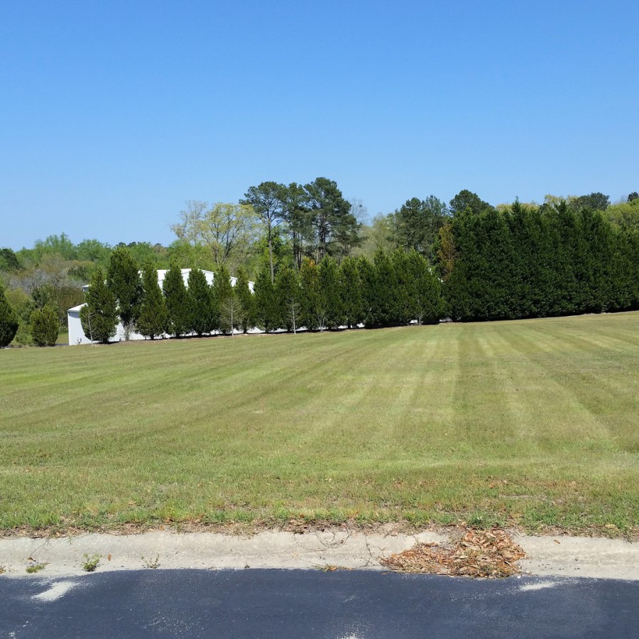 Lawn Care